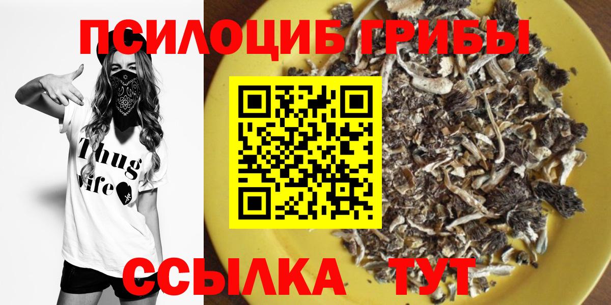 Казань  Галлюциногенные грибы MAGIC MUSHROOMS  Вход с VPN 