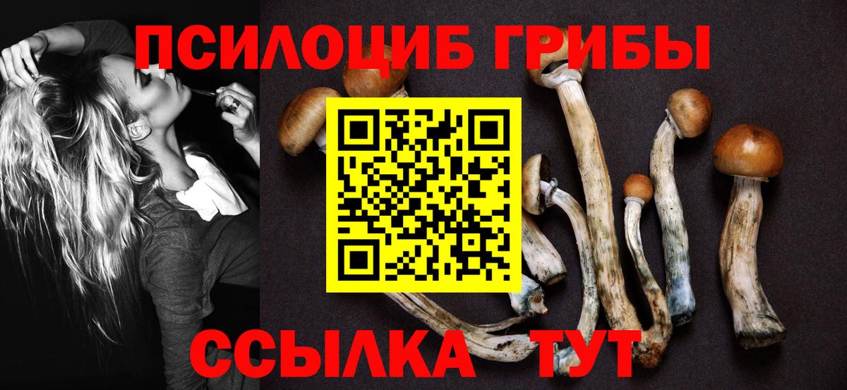 Псилоцибиновые грибы MAGIC MUSHROOMS Казань